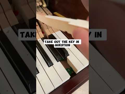 Easy fix a sticky key while tuning a piano #piano #pianomusic #grandpiano #uprightpiano #pianotuning