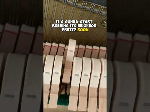 Easy fix rubbing piano hammer #piano #pianotuning #pianomusic #woodworking #music #pianocover #fixed